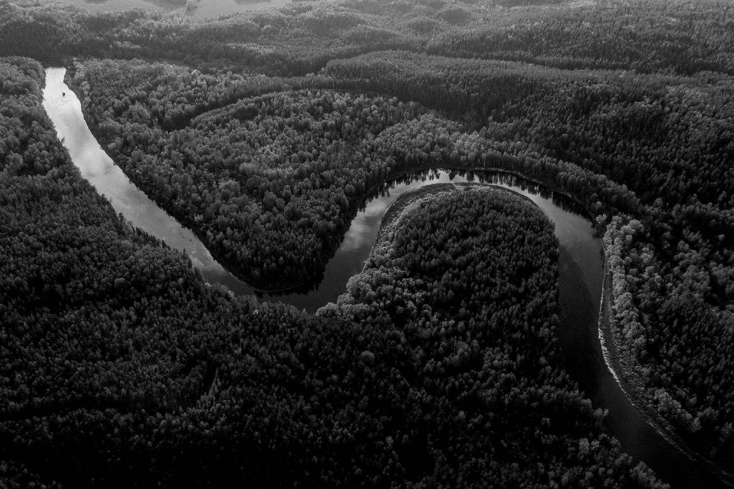Floresta amazônica vista de cima
